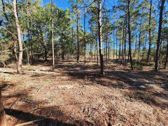 1.2 Acres On Kelly Street DeFuniak Springs, FL Plot of land Active - Photo 1 of 9. Opens carousel modal