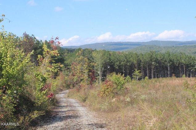 Shut In Gap Rd Spring City, TN Plot of land Sold - Photo 1 of 1. Opens carousel modal