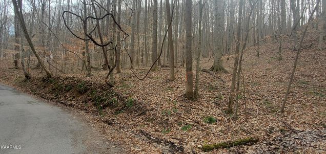 00 Fox Branch Rd Clairfield, TN Plot of land Sold - Photo 1 of 1. Opens carousel modal