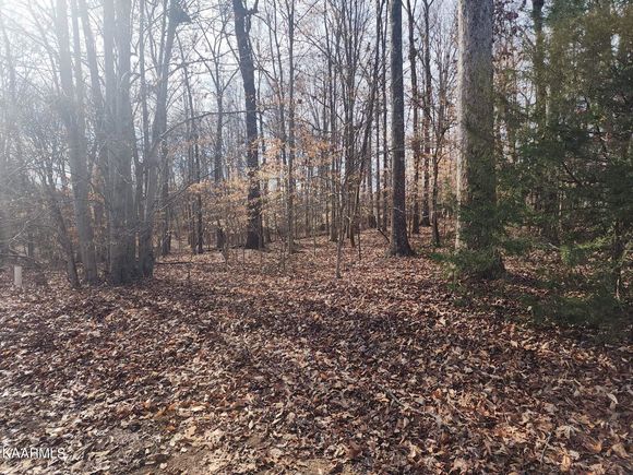 Goweli Tr Vonore, TN Plot of land Sold - Photo 1 of 1. Opens carousel modal