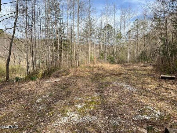 Roses Creek Lot B Clairfield, TN Plot of land Sold - Photo 1 of 1. Opens carousel modal