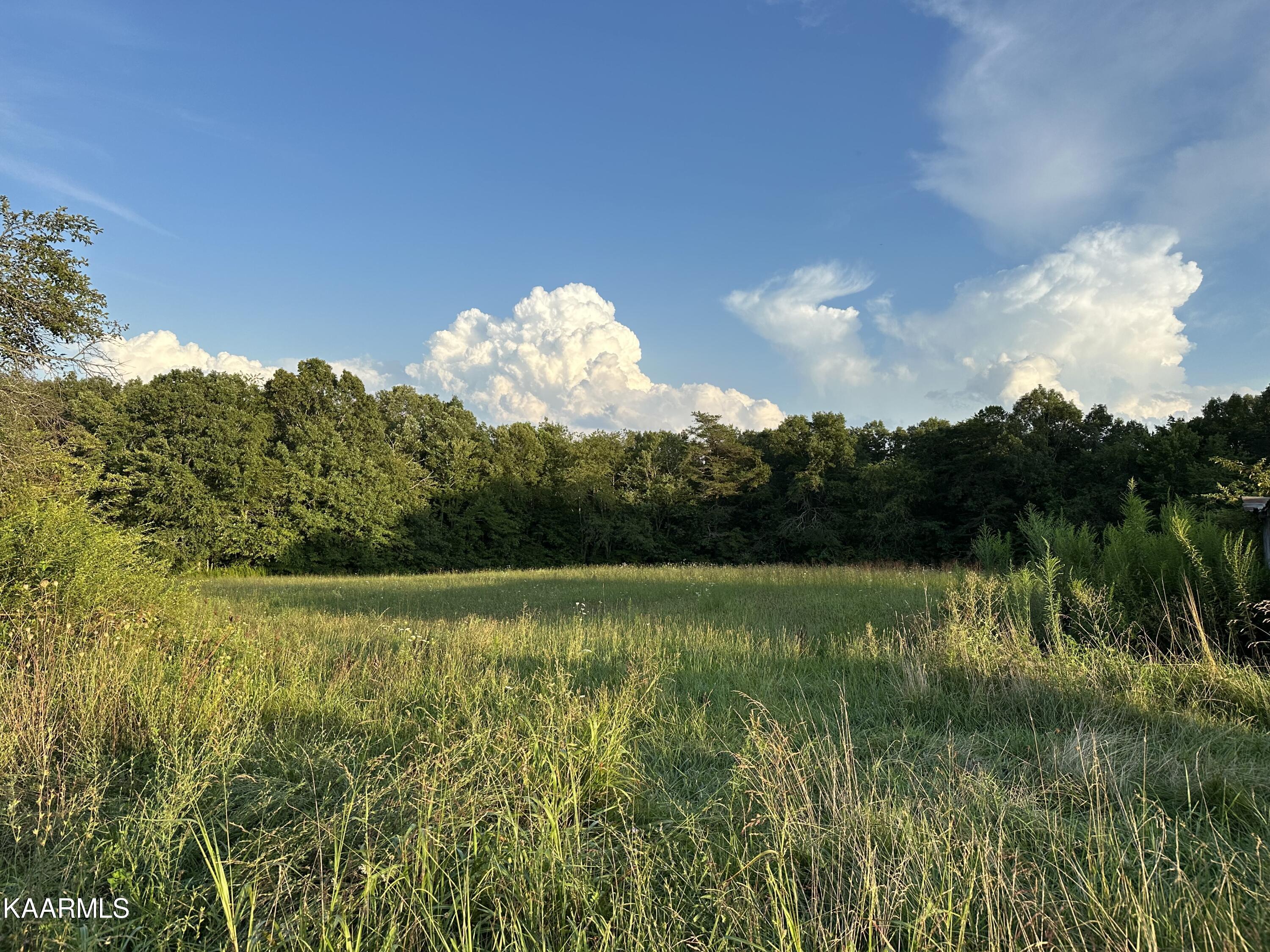 1090 Old Sunbright Rd Rd