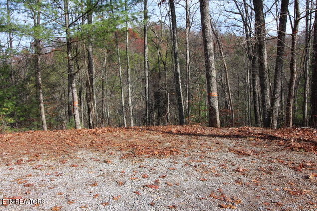 119 Taylors Rdg Rd Walland, TN Plot of land Sold - Photo 1 of 1. Opens carousel modal