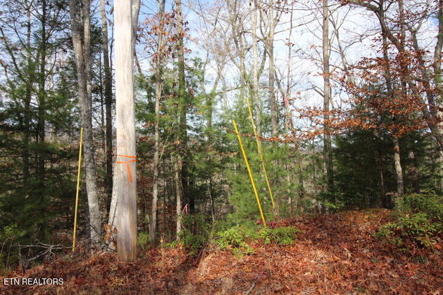 Lot 6 Taylors Ridge( Journeys End) Rd Walland, TN Plot of land Sold - Photo 1 of 1. Opens carousel modal
