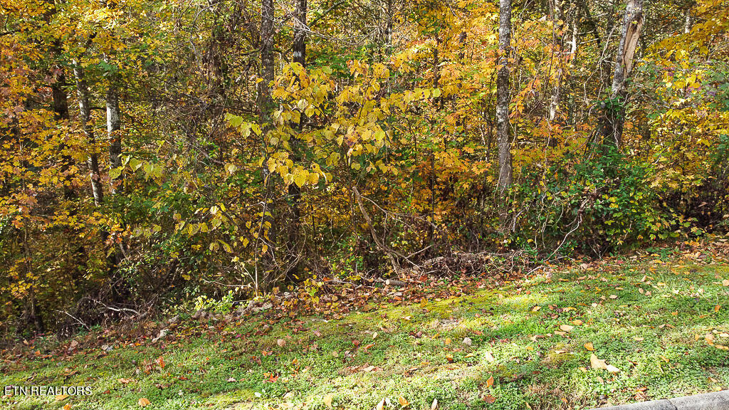 Lot 85 Smoky Cv Rd  
