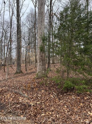 438 Goweli Tr Vonore, TN Plot of land Sold - Photo 1 of 1. Opens carousel modal