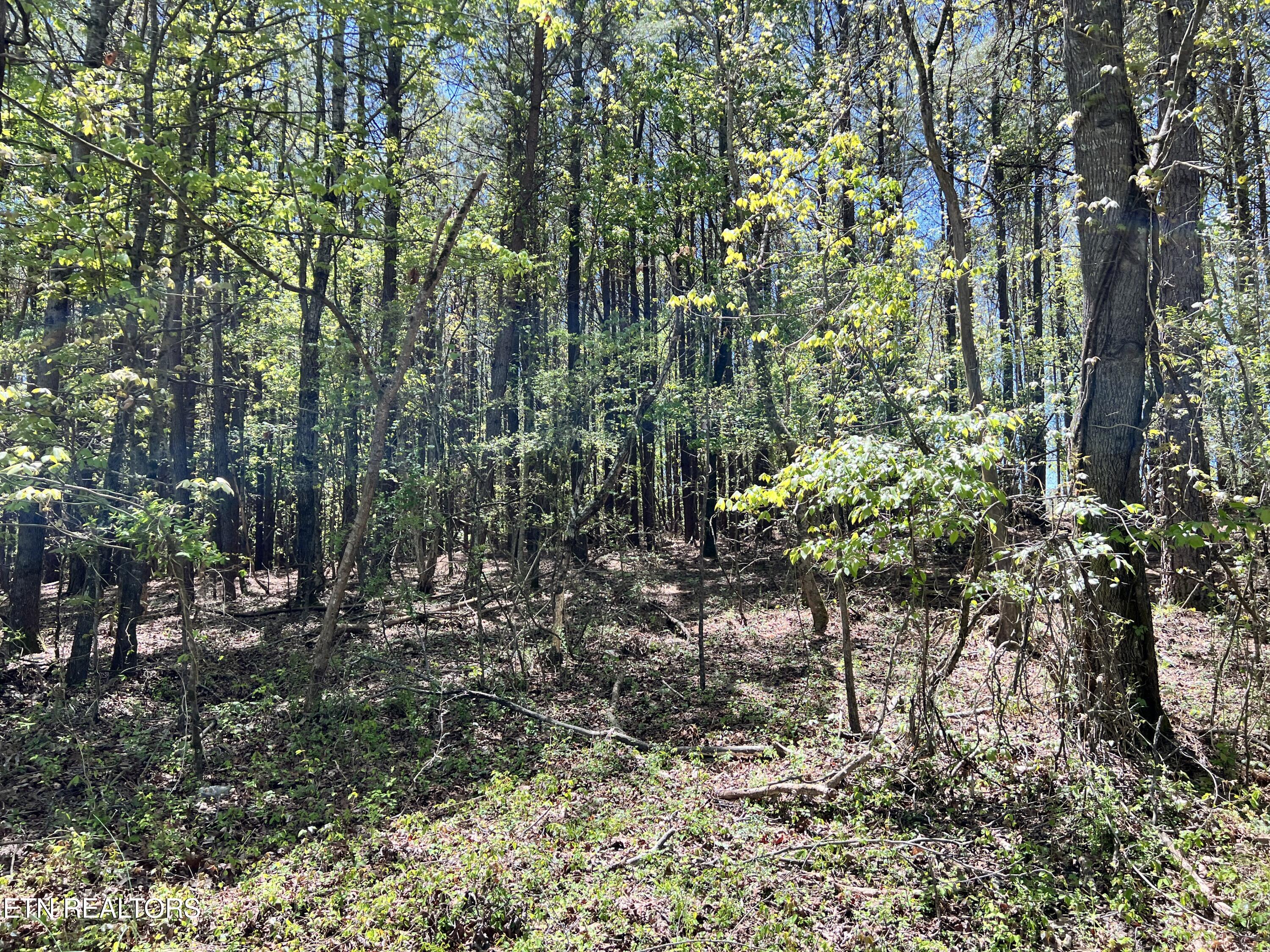 0000 Old Hickory Flt Rd  