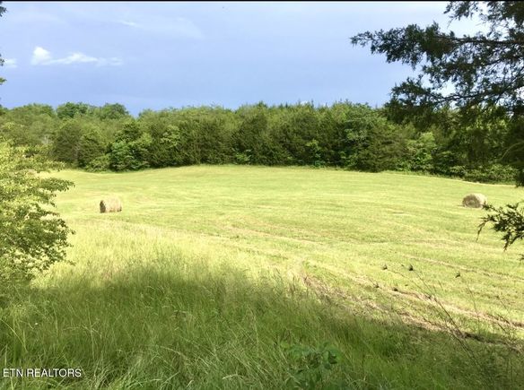 2355 Jim Henry Rd Dandridge, TN Plot of land Active - Photo 1 of 9. Opens carousel modal