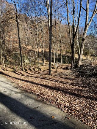 224 Pattie Gap Rd Philadelphia, TN Plot of land Sold - Photo 1 of 1. Opens carousel modal