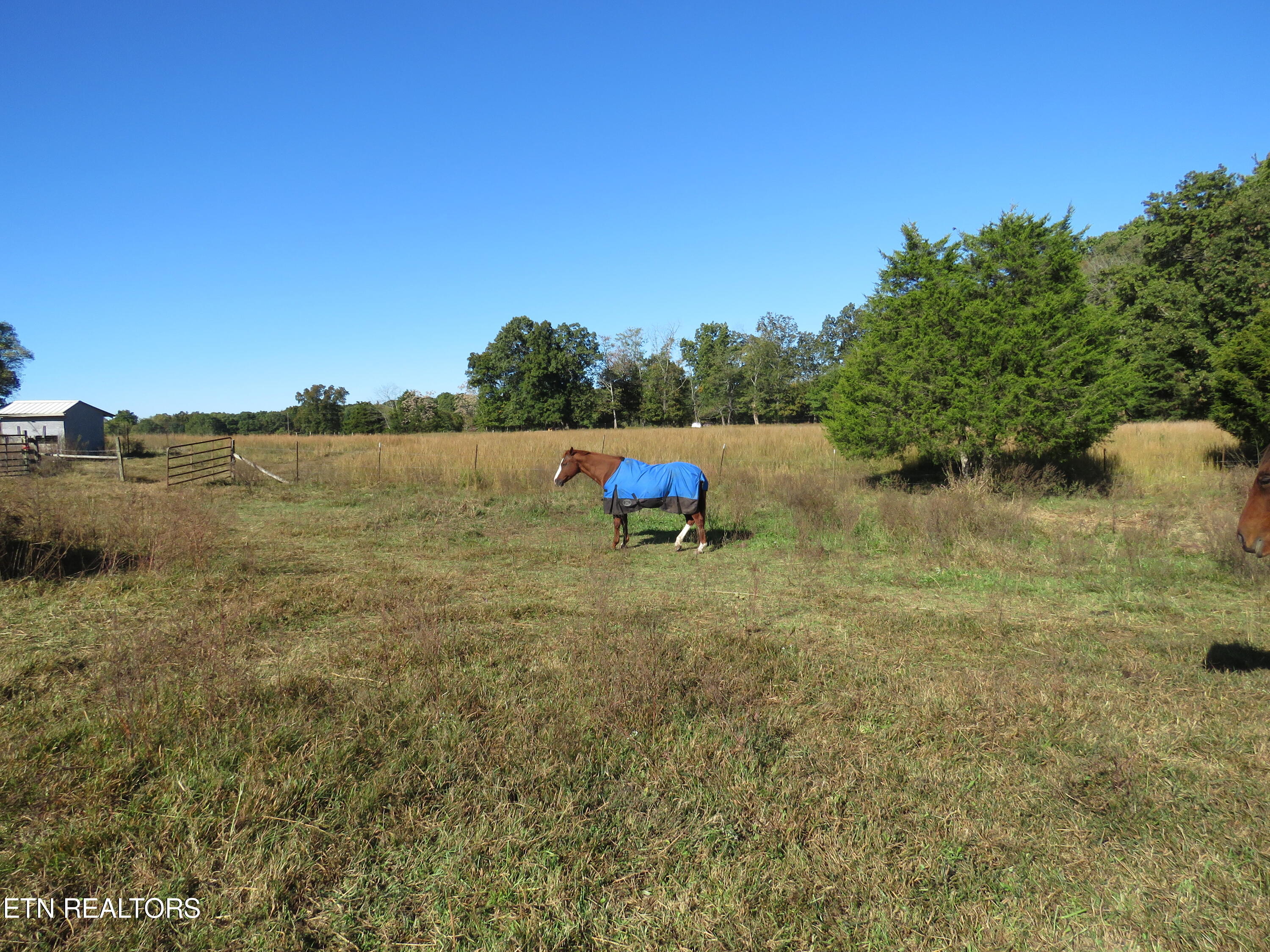 190 Clearview Ln, Cookeville, TN 38501 Estately 🧡 MLS 1279736