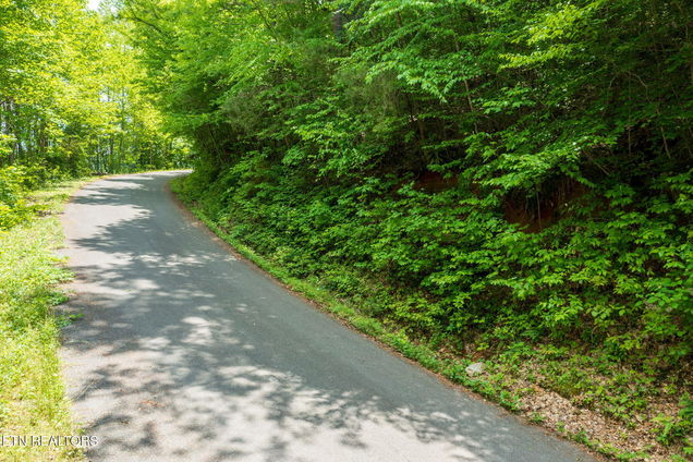 Running Bear Road Cosby, TN Plot of land Active - Photo 1 of 18. Opens carousel modal