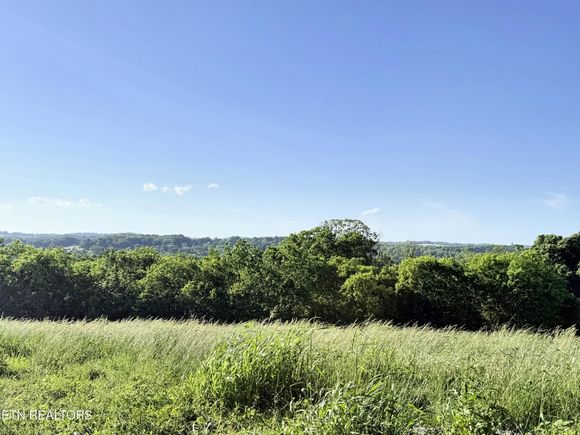 Lot 4 Stone Lane Maryville, TN Plot of land Active - Photo 1 of 17. Opens carousel modal