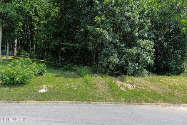 Lot 41 R1 Bobbie Jean Lane Seymour, TN Plot of land Active - Photo 1 of 12. Opens carousel modal