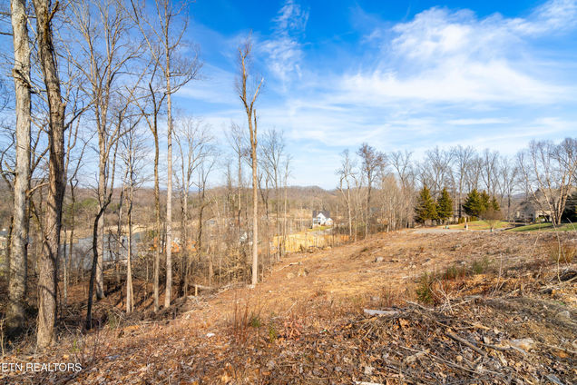 200 Windswept Drive Lenoir City, TN Plot of land Active - Photo 1 of 31. Opens carousel modal