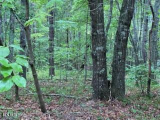 18 Golden Circle Fairfield Glade, TN Plot of land Active - Photo 1 of 6. Opens carousel modal