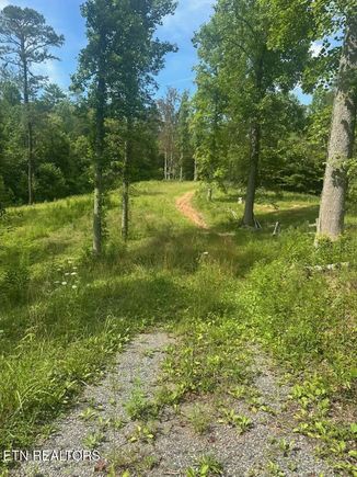 Long Branch Rd Off Rd Del Rio, TN Plot of land Active - Photo 1 of 13. Opens carousel modal