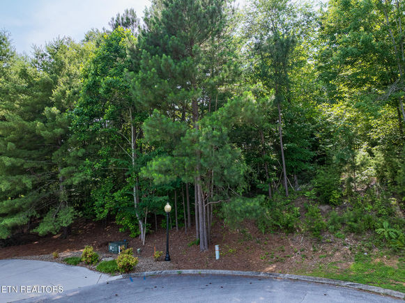 Lot 177 Harbour View Way Kingston, TN Plot of land Active - Photo 1 of 24. Opens carousel modal