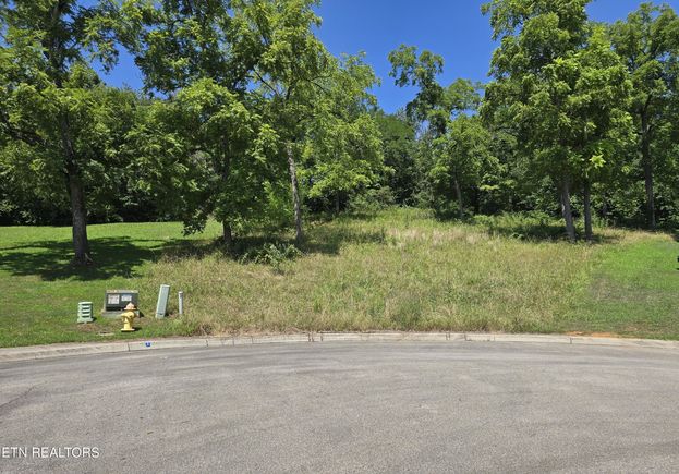Morningside Lane Dandridge, TN Plot of land Active - Photo 1 of 2. Opens carousel modal