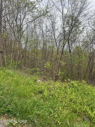 Lot 8 Hickory Pointe Lane Maynardville, TN Plot of land Active - Photo 1 of 5. Opens carousel modal