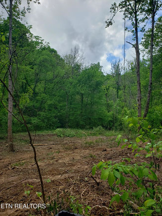 391 Moore Hollow Rd Newport, TN Plot of land Active - Photo 1 of 5. Opens carousel modal