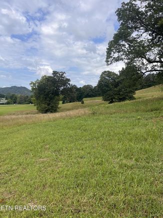 Dayflower Way Maynardville, TN Plot of land Active - Photo 1 of 4. Opens carousel modal