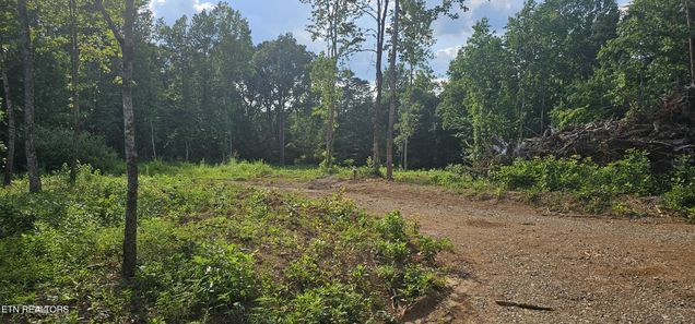 2834 Bradley Lake Lane Knoxville, TN Plot of land Active - Photo 1 of 1. Opens carousel modal