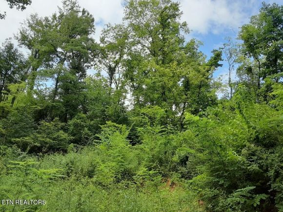 2036 Ridge Rd Pigeon Forge, TN Plot of land Active - Photo 1 of 10. Opens carousel modal