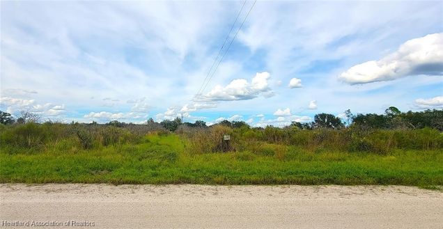 3996 John Carlton Road Zolfo Springs, FL Plot of land Sold - Photo 1 of 1. Opens carousel modal