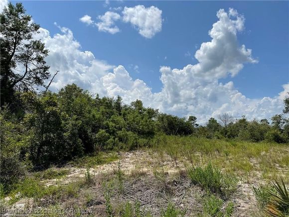 456 Rose Lane Lake Placid, FL Plot of land Active - Photo 1 of 2. Opens carousel modal