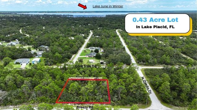 929 Breezy Road Lake Placid, FL Plot of land Active - Photo 1 of 12. Opens carousel modal