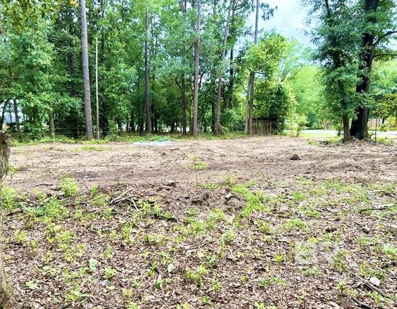 21414 Bohemian Hall Road Silverhill, AL Plot of land Sold - Photo 1 of 4. Opens carousel modal
