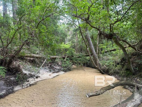 0 Dry Branch Lane Robertsdale, AL Plot of land Active - Photo 1 of 8. Opens carousel modal
