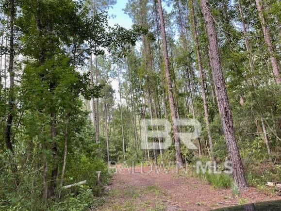 0 Highway 29 Andalusia, AL Plot of land Active - Photo 1 of 9. Opens carousel modal