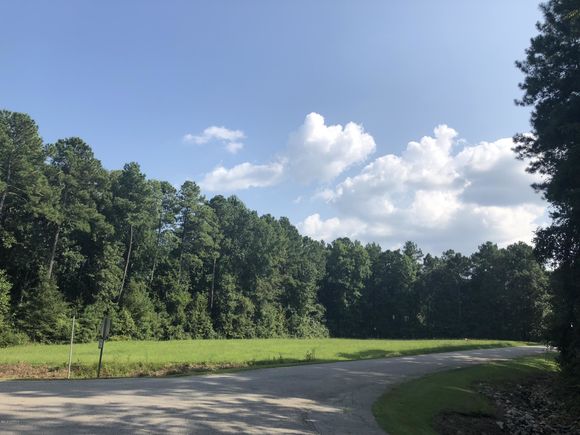 4533 Edgewater Road Elm City, NC Plot of land Sold - Photo 1 of 3. Opens carousel modal