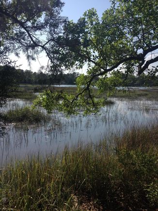 806 Johns Orchard Lane Wilmington, NC Plot of land Sold - Photo 1 of 9. Opens carousel modal