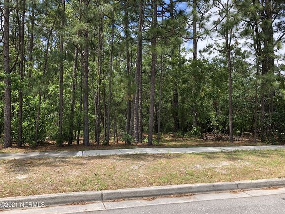 1423 Bexley Drive Wilmington, NC Plot of land Sold - Photo 1 of 12. Opens carousel modal