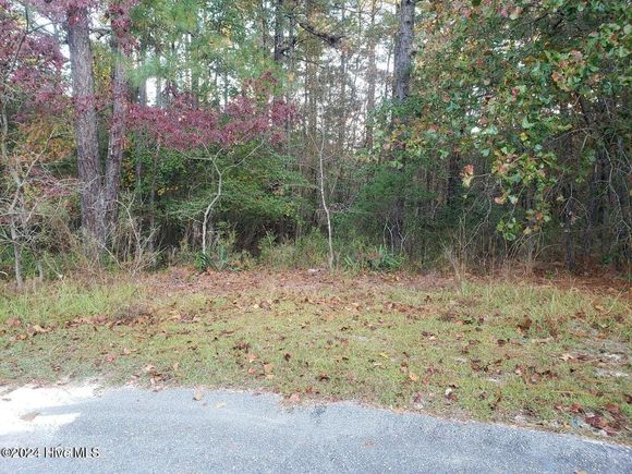 6 & 7 Brassie Circle Jackson Springs, NC Plot of land Active - Photo 1 of 26. Opens carousel modal