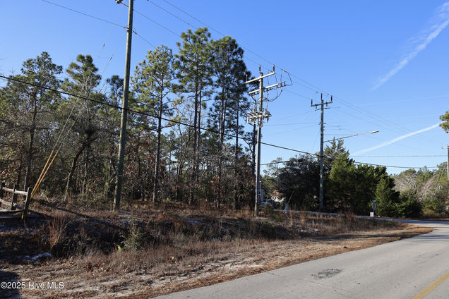 1038 Fifty Lakes Drive Boiling Spring Lakes, NC Land Sold - Photo 1 of 15. Opens carousel modal