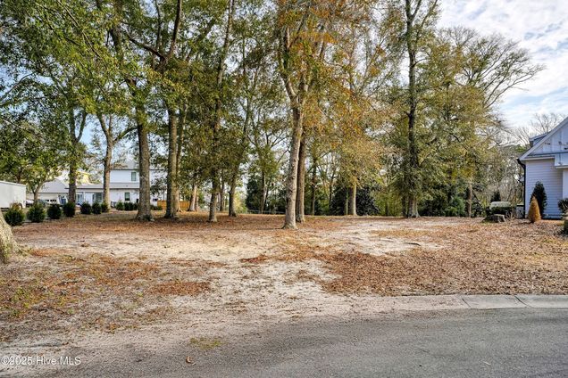 204 Joshuas Way Southport, NC Plot of land Active - Photo 1 of 36. Opens carousel modal