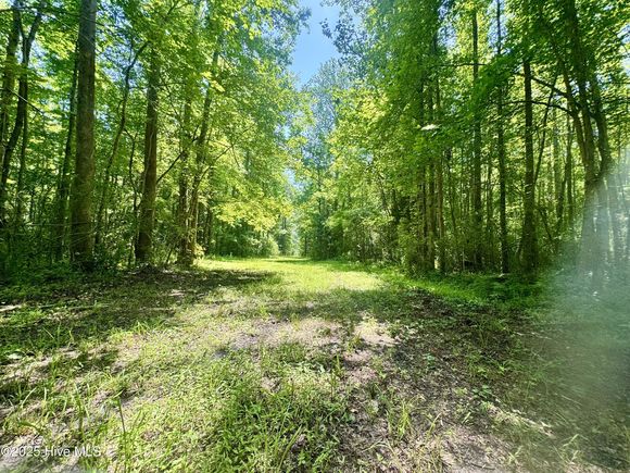 0 Nc 304 Highway Bayboro, NC Plot of land Active - Photo 1 of 38. Opens carousel modal