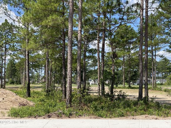 8743 Compass Pointe West Wynd Leland, NC Plot of land Active - Photo 1 of 12. Opens carousel modal