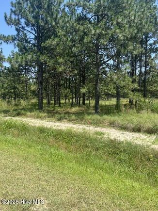 Lot C Shaver Lane Jackson Springs, NC Plot of land Pending - Photo 1 of 7. Opens carousel modal