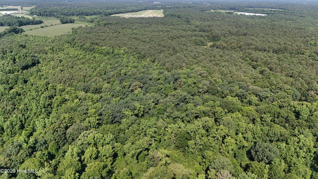 0 Reedsford Road Turkey, NC Plot of land Active - Photo 1 of 44. Opens carousel modal