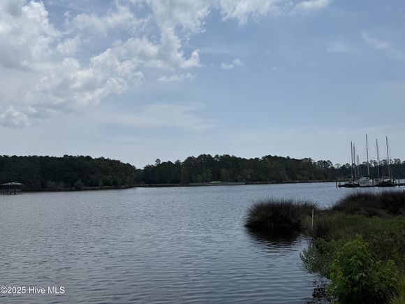 257 Shell Castle Lane Vandemere, NC Plot of land Active - Photo 1 of 10. Opens carousel modal
