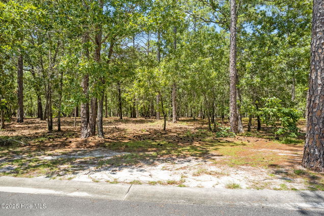 635 Theodora Crossing Bolivia, NC Plot of land Active - Photo 1 of 16. Opens carousel modal