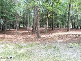 3527 Fairway Crest Drive Shallotte, NC Plot of land Active - Photo 1 of 3. Opens carousel modal