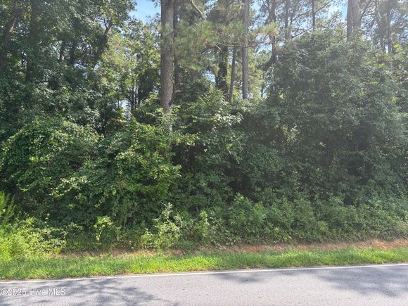 6463 Speights Bridge Road Stantonsburg, NC Plot of land Active - Photo 1 of 2. Opens carousel modal