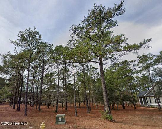 6455 Kirkwall Point Ocean Isle Beach, NC Plot of land Active - Photo 1 of 6. Opens carousel modal
