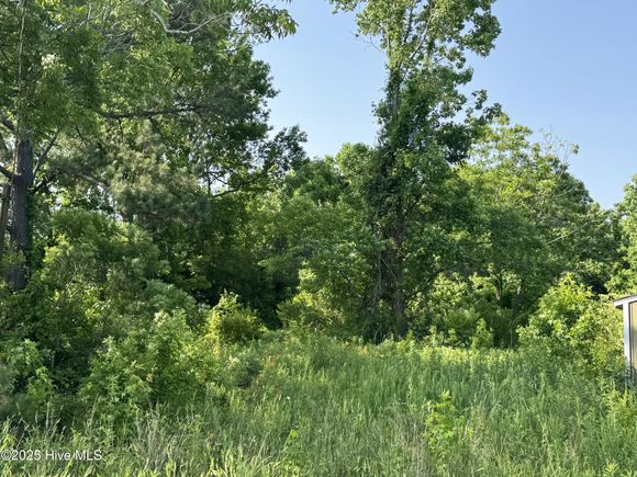 E Council Road Robersonville, NC Plot of land Active - Photo 1 of 1. Opens carousel modal