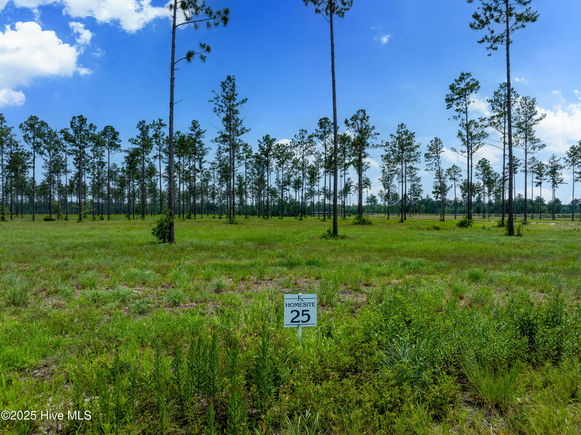 Lot 25 Cattle Drive Rocky Point, NC Plot of land Active - Photo 1 of 23. Opens carousel modal